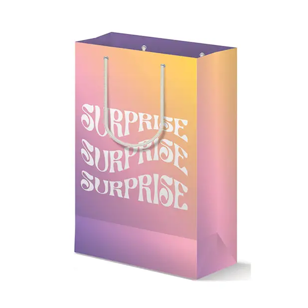 Surprise Gift Bag - Party Supplies