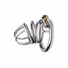 Silver ring with gold heart from The Pen Deluxe Stainless Steel Locking Chastity Cage