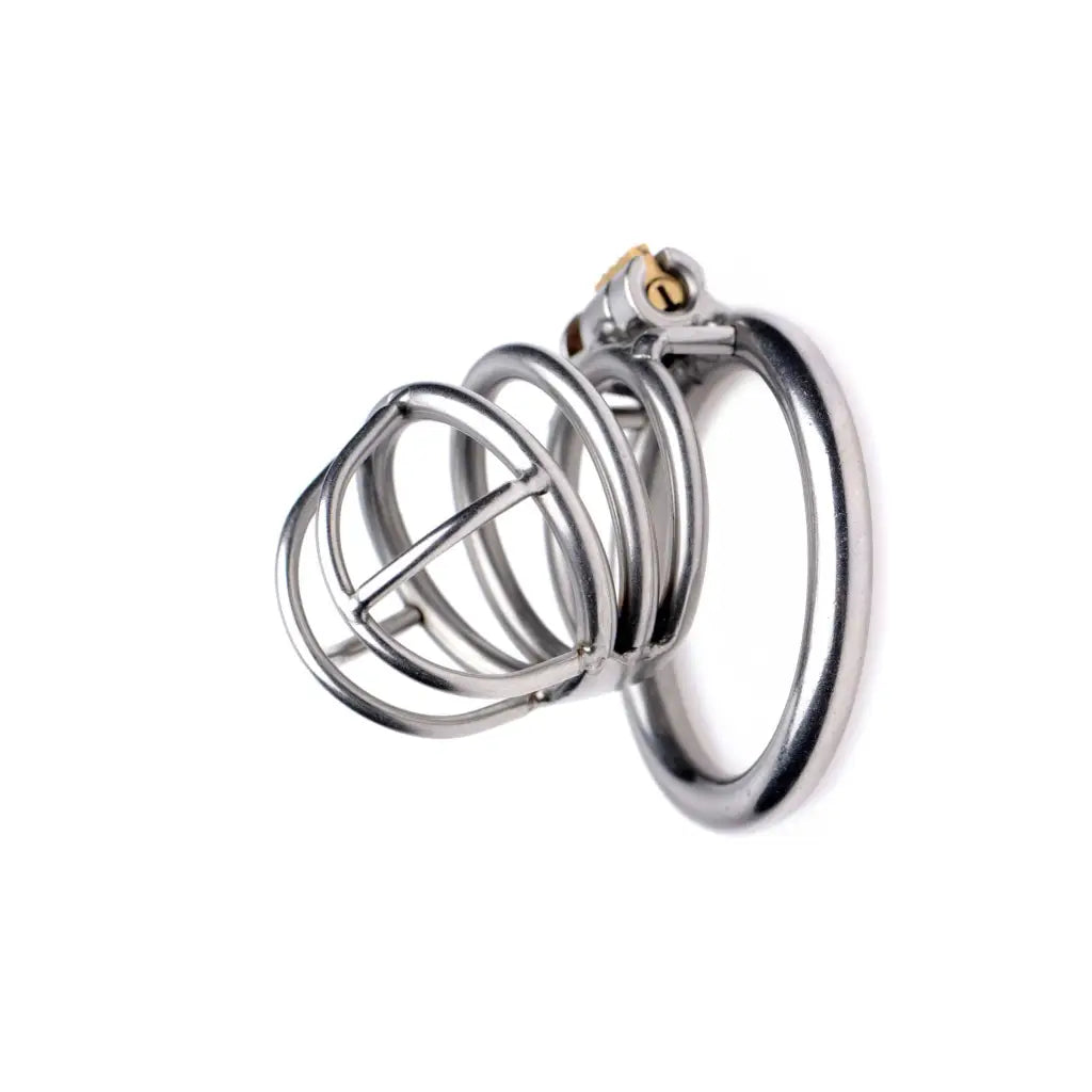 Silver ring with two on top from the Pen Deluxe Stainless Steel Chastity Cage