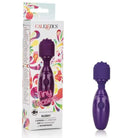 CalExotics Vibrator Tiny Teasers Nubby - Purple at the Haus of Shag