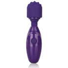 CalExotics Vibrator Tiny Teasers Nubby - Purple at the Haus of Shag