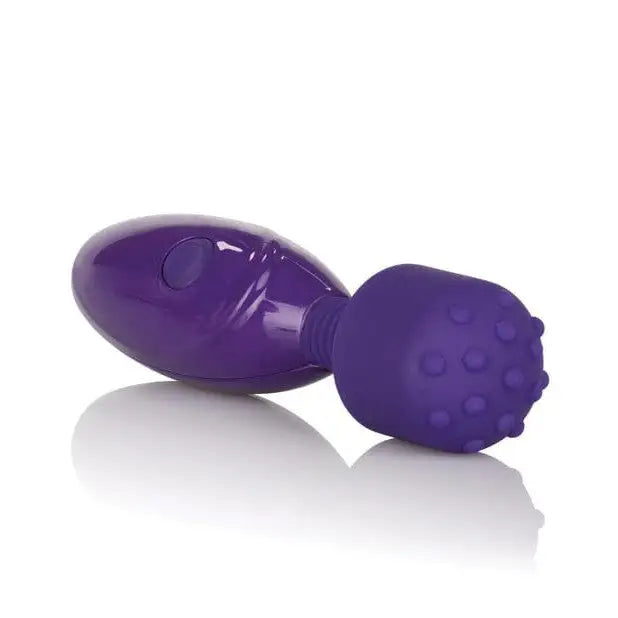 CalExotics Vibrator Tiny Teasers Nubby - Purple at the Haus of Shag