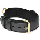 Tracer Tracking Collar - Black - Collar