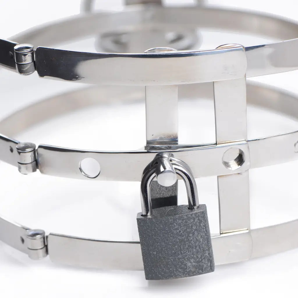 Master Series Collar Trinity Stainless Steel Locking Collar at the Haus of Shag