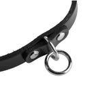 Strict Leather Collar Unisex Leather Choker With at the Haus of Shag