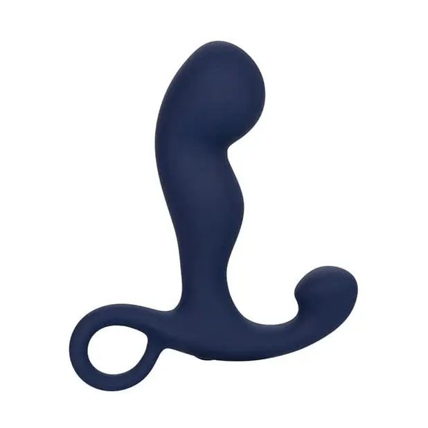 CalExotics Plug Viceroy Rechargeable Command Probe - Navy at the Haus of Shag