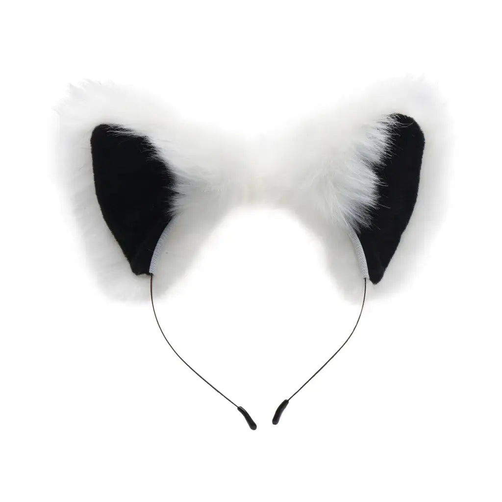 Tailz Tail Plug White White Fox Tail Anal Plug And Ears Set at the Haus of Shag