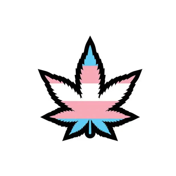 Wood Rocket trans pride leaf pin with marijuana leaf in transgender flag colors