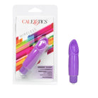 CalExotics Plain Vibrator Purple Zingers Purple at the Haus of Shag